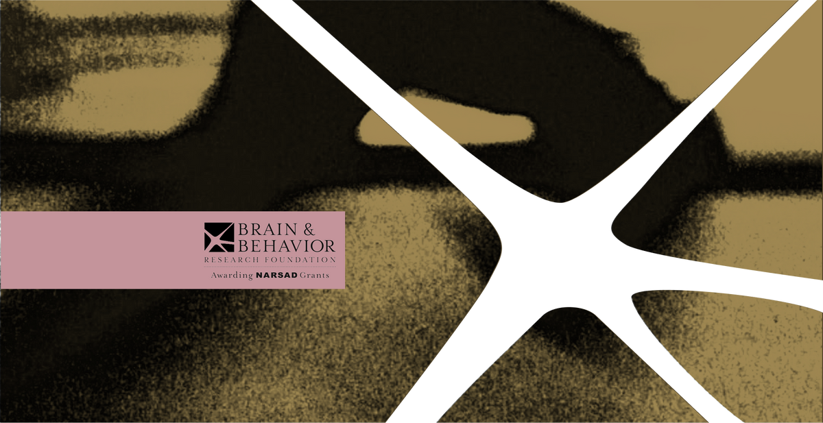Brain & Behavior Research Foundation logo, “Awarding NARSAD Grants”, over an abstract photo